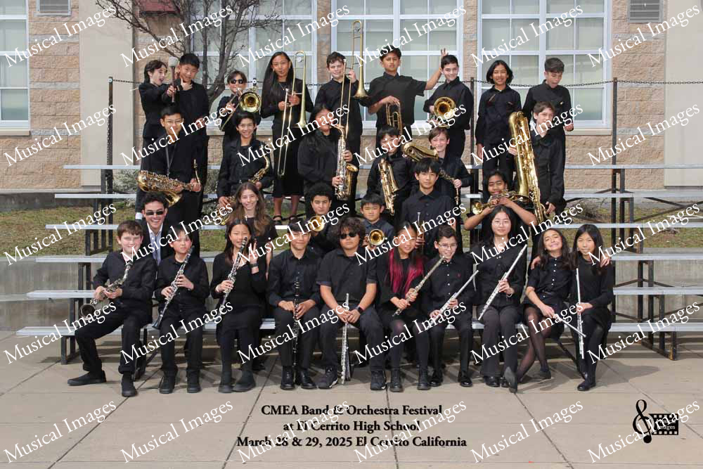 Musical Images